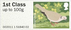 Post & Go - Birds of Britain II 1st Stamp (2011) Collared Dove