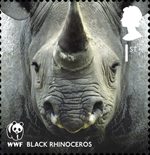 World Wildlife Fund 1st Stamp (2011) Black Rhinoceros
