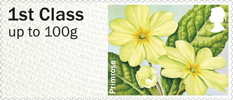 1st, Primrose from Post & Go: Spring Blooms - British Flora 1 (2014)