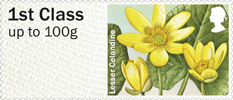 Post & Go: Spring Blooms - British Flora 1 1st Stamp (2014) Lesser Celandine