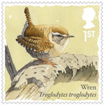 Songbirds 1st Stamp (2017) Wren