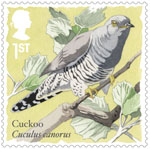 Songbirds 1st Stamp (2017) Cuckoo