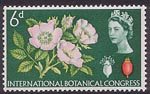 Tenth International Botanical Congress, Edinburgh 6d Stamp (1964) Dog Rose
