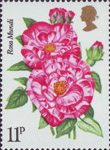 Roses 11p Stamp (1976) 'Rosa Mundi'