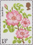Roses 13p Stamp (1976) 'Sweet Briar'