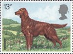 Dogs 13p Stamp (1979) Irish Settler