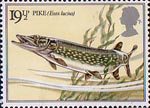 British River Fishes 19.5p Stamp (1983) Northern Pike