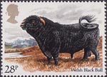 Cattle 28p Stamp (1984) Welsh Black Bull