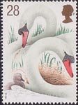 Swans 28p Stamp (1993) Swans and Cygnet