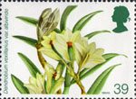 Orchids 39p Stamp (1993) Dendrobium vexillarius var. albiviride