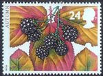 The Four Seasons. Autumn 24p Stamp (1993) Blackberry