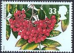 The Four Seasons. Autumn 33p Stamp (1993) Rowan