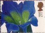 Greetings - Flowers 1st Stamp (1997) Gentiana acaulis (Georg Ehret)