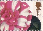 Greetings - Flowers 1st Stamp (1997) Camelia japonica (Alfred Chandler)