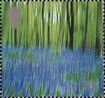 Millennium Projects (7th Series). 'Stone and Soil' 65p Stamp (2000) Bluebell Wood (Groundwork's 'Changing Places' Project)