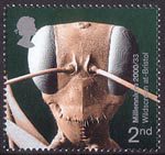 Millennium Projects (9th Series). 'Mind and Matter' 2nd Stamp (2000) Head of Gigantios descructor (Ant) (Wildscreen at Bristol)