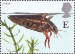 Europa. Pond Life E Stamp (2001) Great Diving Beetle