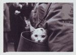 Cats and Dogs 1st Stamp (2001) Cat in Handbag