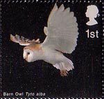 Birds of Prey 1st Stamp (2003) Barn Owl in Flight with Wings raised