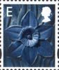 Regional Definitive - Wales E Stamp (2003) Daffodil