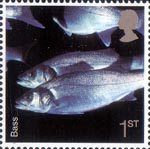 Sea Life 1st Stamp (2007) Bass