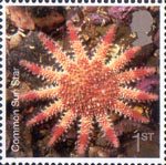 Sea Life 1st Stamp (2007) Common Sun Star