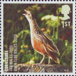 Birds 1st Stamp (2007) Corncrake