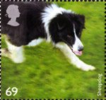 Working Dogs 69p Stamp (2008) Sheepdog
