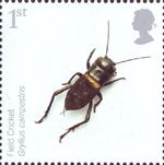 Insects 1st Stamp (2008) Field Cricket