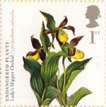 Plants 1st Stamp (2009) Lady's Slipper Orchid