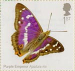 Butterflies 1st Stamp (2013) Purple Emperor