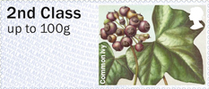 Post & Go: Winter Greenery - British Flora 3 1st Stamp (2014) Common Ivy