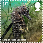 Wild Coasts 1st Stamp (2021) Long-snouted Seahorse
