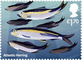 Wild Coasts £1.70 Stamp (2021) Atlantic Herring