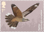 Migratory Birds 1st Stamp (2022) Nightjar, Caprimulgus europaeus