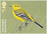 Migratory Birds 1st Stamp (2022) Yellow Wagtail, Motacilla flava