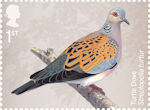 Migratory Birds 1st Stamp (2022) Turtle Dove, Streptopelia turtur
