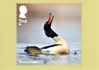 PHQ Cards from Collect GB Stamps