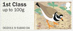 Post & Go - Birds of Britain IV 1st Stamp (2011) Ringed Plover