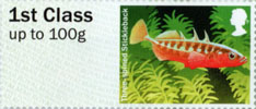 Post & Go: Ponds - Freshwater Life 1 1st Stamp (2013) Three-spined Stickleback