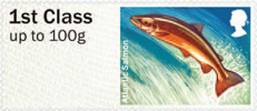 Post & Go: River Life - Freshwater Life 3 1st Stamp (2013) Atlantic Salmon