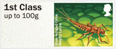 Post & Go: River Life - Freshwater Life 3 1st Stamp (2013) Blue-winged Olive Mayfly Larva