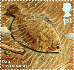 Sustainable Fish 1st Stamp (2014) Dab