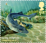 Sustainable Fish 1st Stamp (2014) Spiny Dogfish