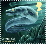 Sustainable Fish 1st Stamp (2014) Conger Eel