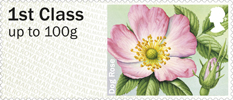 Post & Go: Symbolic Flowers - British Flora 2 1st Stamp (2014) Dog Rose