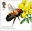 £1.52, Large Mason Bee (Osmia xanthomelana) from Bees (2015)