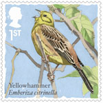 Songbirds 1st Stamp (2017) Yellowhammer