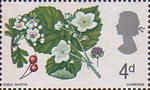 British Flora 4d Stamp (1967) Hawthorn and Bramble