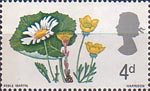 British Flora 4d Stamp (1967) Ox-eye Daisy, Coltsfoot and Buttercup